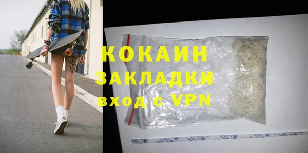 индика Корсаков