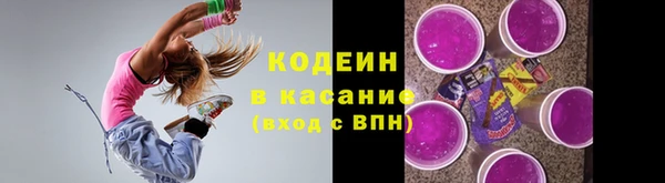 МДПВ Каменногорск