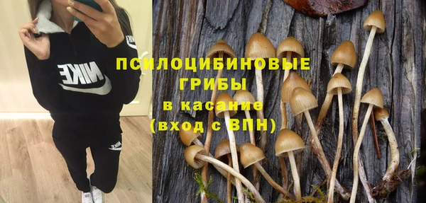 тгк Иннополис