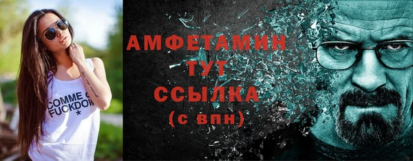 сатива Инсар