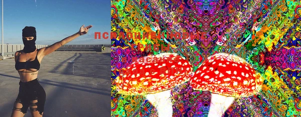 кокс Инта