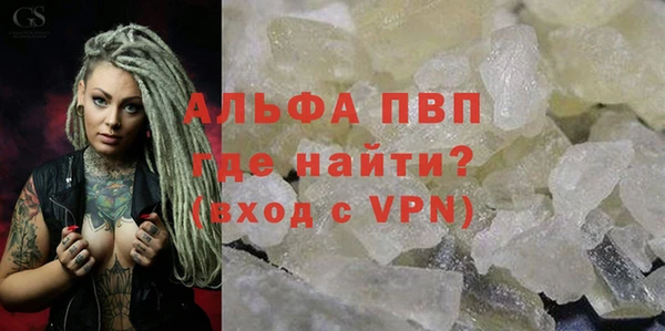 сатива Инсар