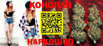 эйфоретик Гусев