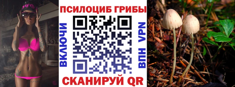 Галлюциногенные грибы Cubensis Кировск