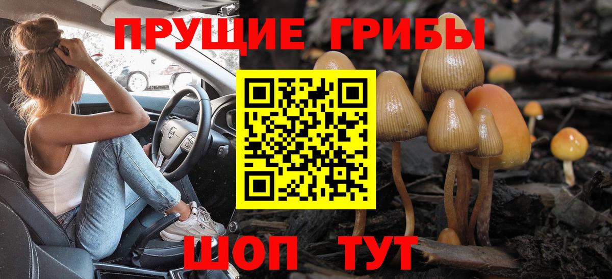 Галлюциногенные грибы Magic Shrooms Кировск