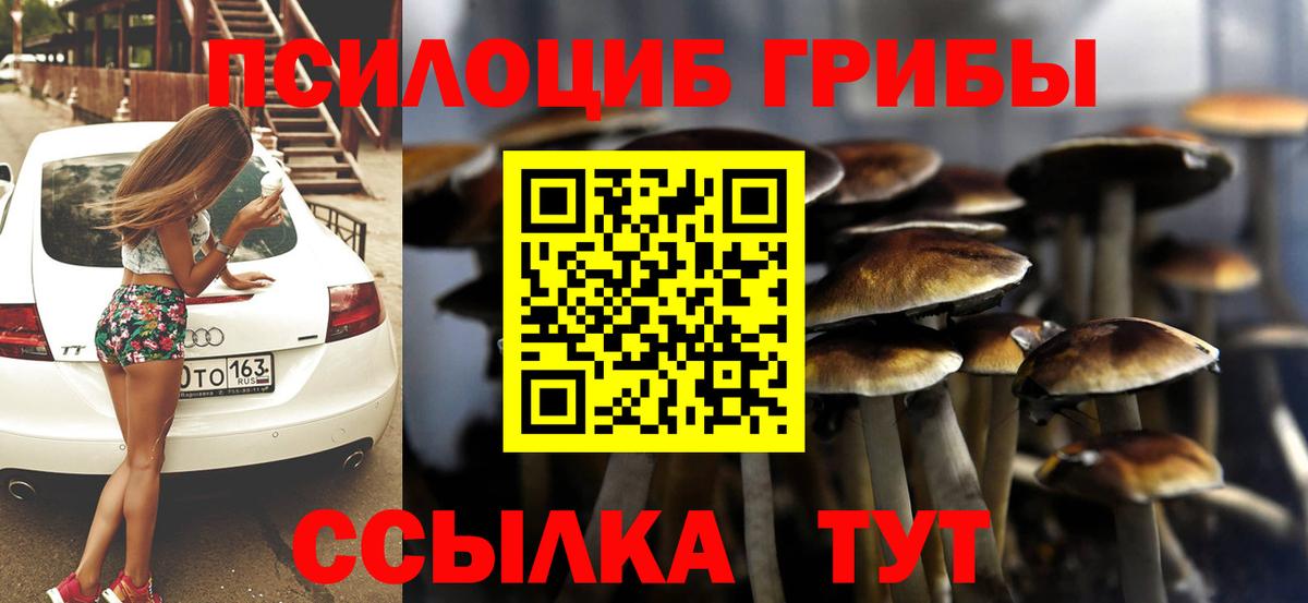 Галлюциногенные грибы мухоморы  Вход с VPN  Кировск  Псилоцибиновые грибы мухоморы 