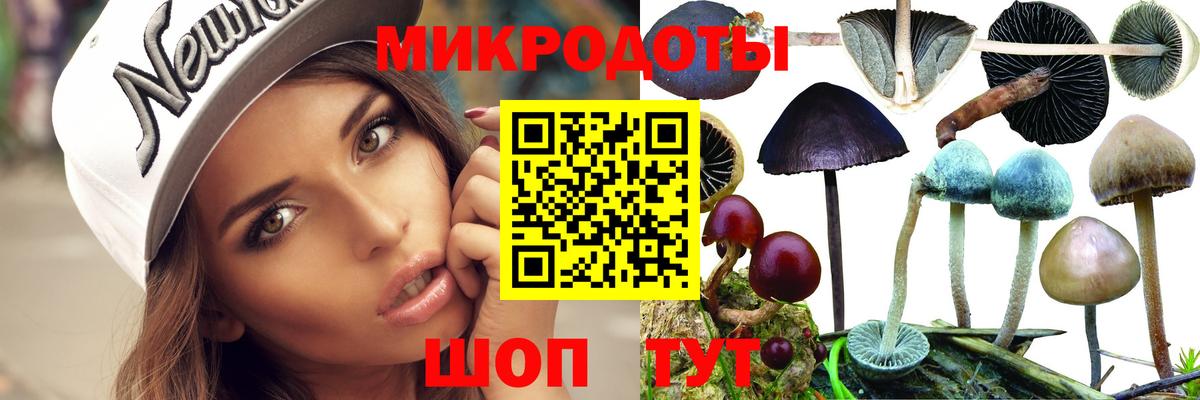 Псилоцибиновые грибы Magic Shrooms Кировск