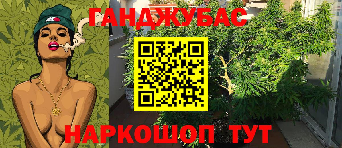 Бошки марихуана марихуана Кировск